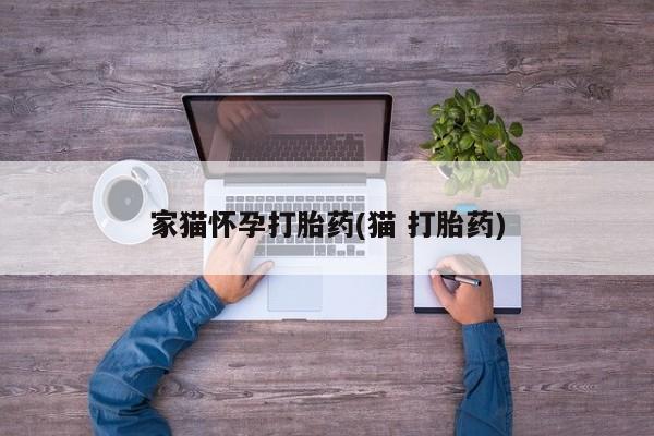 堕胎药咨询购买家猫怀孕打胎药(猫 打胎药)